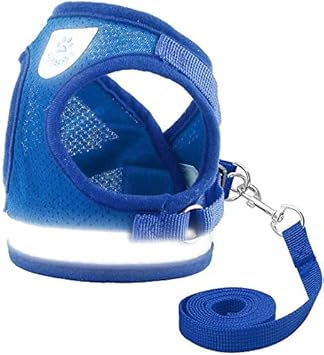 Amazon Ihr 猫 犬用ハーネス リード付 ベスト ペット首輪 ねこ服 うさぎ牽引ロープ ベルト 胴輪 ソフト胸当て 夜間反射バンド付 3重ロック脱走防止 マジックテープ簡単装着 散歩 お出かけ安全 ブルー Sサイズ調節可 株 ｉｈｒ ハーネス 通販
