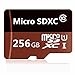 256GB Micro SD SDXC Memory Card High Speed Class 10 256gb with Micro SD Adapter, Designed for Android Smartphones, Tablets and Other MicroSDXC Compatible Devices. (256GB)