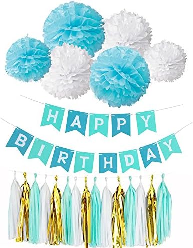 Happy Bithday Banner Decoration Kit-Set-Party Supplies Kit,Paper Pom Poms Flowers Ball,Blue and White Bunting Flag Garland,White-Mint-Gold Mylar Tssue Paper Tassel Party Garland
