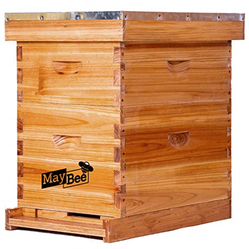 MayBee 8-Frame Beehive Starter Kit