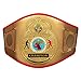 Title Boxing Flash Title Belt, Gold