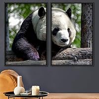 2 Piece Framed Canvas Wall Art Panda Canvas Prints Home Artwork Decoration for Living Room,Bedroom - 16