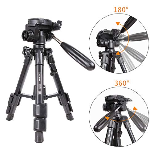 Zomei Q100 Mini Travel Tabletop Tripod Tabletop Tripod with 3-Way Pan/Tilt Head 1/4 inches Quick Release Plate and Bag for DSLR Camera Tripod Carrying Bag (Black)
