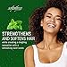 Milk Protein & Olive Oil Hair Deep Conditioning Treatment Hair Mask Strengthens, Repairs, Stops Breakage and Promotes Growth for Soft, Healthy, Manageable Hair - Sofn’Free GroHealthy Single