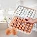 Braceus 34 Eggs Holder Storage Box Picnic Kitchen Refrigerator Fresh-Keeping Container Transparent