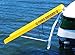 Paws Aboard Doggy Boat Ladder and Ramp