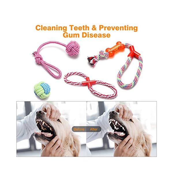 WeFine-Puppy-Dog-Chew-Toys-Teething-Training10pcs-Dog-Rope-Toys-100-Natural-Cotton-Rope-for-Small-and-Medium-Dog WeFine Puppy Dog Chew Toys Teething Training, 10pcs Dog Rope Toys 100% Natural Cotton Rope for Small and Medium Dog