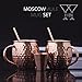 Moscow Mule Copper Mugs - Gift Set of 2 Pure Copper Cups With BONUS Shot Glass and Straws