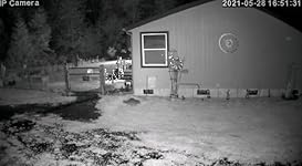 Review Image by Rural American Rural American