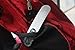 Aubros Digital Luggage Scale Includes Bonus Lock & Tag for Stress-Free Travel