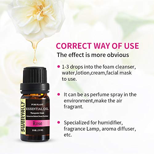 Rose Essential oils, 100 Pure Therapeutic Grade essential Oil 10ml