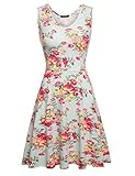 OURS Womens Casual V Neck Fit and Flare Floral Sleeveless Summer Dress