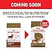 Royal Canin Dachshund Adult Breed Specific Dry Dog Food, 2.5 lb bag