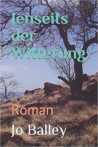 Jenseits Der Witterung Roman Amazon De Balley Jo Bucher