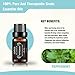Essential Oils Gift Set Top 6 - 100% Pure & Therapeutic Grade 10ml