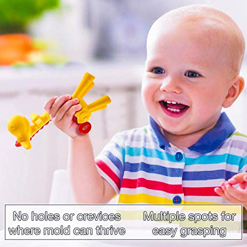 Baby Teething Toys BPA Free Soft Silicone Baby Fruit Teethers Toys with Pacifier Clip/Holder Non-Toxic, Soft, Durable and Freezer teether for Boys & Girls Infant and Toddler(JRBT-TDD)