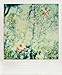 Polaroid Notes: 20 Different Notecards and Envelopes (Polaroid Themed Greeting Cards, Retro Photography Gift)