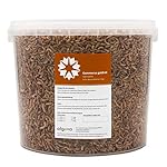 algova Gammarus gamberetti d'Acqua Dolce essiccati - Pesce Cibo Pesci Pesci Rossi Pesci di Stagno Koi - Cibo Tartarughe…