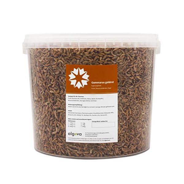 algova-Dolce-Gammarus-Mangime-per-acquari-mangime-tartaruga-mangime algova Gammarus gamberetti d'Acqua Dolce essiccati - Pesce Cibo Pesci Pesci Rossi Pesci di Stagno Koi - Cibo Tartarughe…