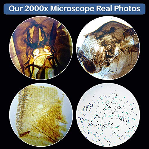 2 Microscope+Compound+Students+Prepared+Accessories