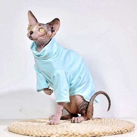 Wjdm Vetements Chauds Pour Chat D Hiver Pour Animal Domestique Vetement Tendance Manteau A Capuche Pour Devon Rex Sphynx Cornish Rex Only Amazon Fr Animalerie Wjdm Vetements Chauds Pour Chat D Hiver Pour Animal Domestique Vetement Tendance Manteau A Capuche Pour Devon Rex Sphynx Cornish Rex Only Amazon Fr Animalerie