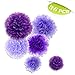 (Price/36 PCS)Aspire Pom Poms, Mixed Purple Tissue Paper Flowers, Party Favors