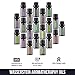 Aromatherapy Oils 100% Pure Basic Essential Oil Gift Set by Wasserstein (Top 20)