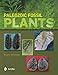Paleozoic Fossil Plants