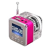 Music Player, soled Mini Digital Portable Music MP3/4 Player TF Card USB Disk Speaker FM Radio with Discoloration Rose