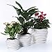 3 Pack Ceramic Flower Plant Pot with Saucers, Size 4’’ 5’’ and 6’’ (Modern)