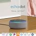 Echo Dot (3rd Gen) - Smart speaker with Alexa - Heather Gray