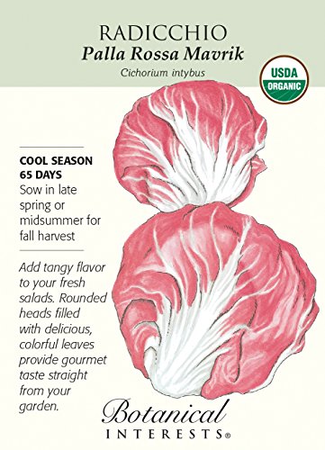Palla Rossa Mavrik Radicchio Seeds - .20 grams - Organic Palla Rossa Mavrik Radicchio Seeds - .20 grams - Organic