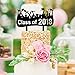 GLEIM 2018 Graduation Party Photo Banner with Cake Topper Graduation Party Decorations Supplies