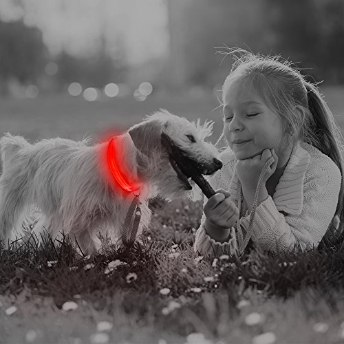 LED Cat Dog Necklace Collar, USB Rechargeable with Water Resistant Flashing Light, Makes Your Small Breed Puppy High Visible in Dark and Night (XS, Red) - Thumbnail 6