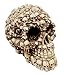 ATL Ebros Ossuary Ghost Whisper Lost Souls Skull Statue Skeleton Graveyard of Craniums Figurine Sculpture 5.5