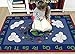 Flagship Carpets CE189-28W Happy World Rug, Children's Classroom Educational Carpet, 5'x8', Rectangle