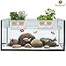 SunGrow Aquarium Shelf, 7-inches by 2.75-inches by 4.75-inches, Extra Level for Substrate and Live Plants, Crystal Clear Transparent Ledge, Holds up to 5 Pounds