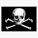 Skull and Crossbones | Jolly Roger | Pirate Flag | Deaths Head | Black and White | Skulls and Skeletons | Vintage Skulls | Sticker Vinyl Decal Bumper Sticker 5