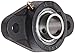 Hub City FB260URX1 Flange Block Mounted Bearing, 2 Bolt, Normal Duty, Relube, Setscrew Locking Collar, Narrow Inner Race, Cast Iron Housing, 1