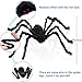 Sunba Youth Spider-1Pieces 50 Inch Black Huge Spider Used for Halloweens or Parties Decor (1 Giant Pcs)