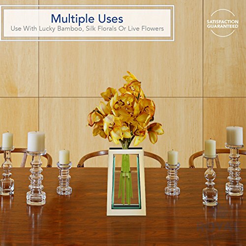 Royal Imports Flower Mirror Glass Vase 13.5" Tall Tapered