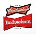 2 pieces BUDWEISER PKW Auto NASCAR Dodge V8 Racing Team Motorsport USA Formula 1 F1 Racing Club Band Logo Patch Sew Iron on Embroidered Badge Sign Costume Gift