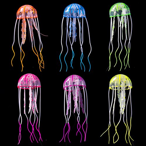 Top 10 best jellyfish aquarium with jellyfish Which is the best one in