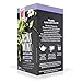 Wissotzky Nana Mint Chamomile Herbal Tea (2 Pack) Naturally Caffeine Free, All Natural Flavors & Ingredients