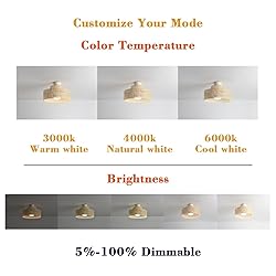 22” Bamboo DC Dimmable Ceiling Fan with Light and