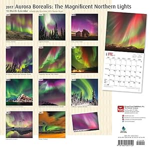 Aurora Borealis: The Magnificent Northern Lights 2017 Square (Multilingual Edition)