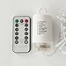echosari 100ft/30m Warm White 300 LED Outdoor & Indoor Battery Fairy Lights w/Remote & Timer, Waterproof (8 Modes, 4 x AA Batteries, Dimmable, Clear Cable)
