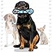 TUFFY - World's Tuffest Soft Dog to -Ultimate Bone- Squeakers- Multiple Layers. Made Durable, Strong & Tough. Interactive Play (Tug, Toss & Fetch). Machine Washable & Floats (Regular, Camo Blue)