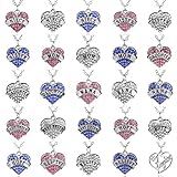 Fun Daisy Multiple Colors Crystal Silver Chain Fashion Family Love Heart Necklace