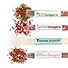 Sweets Indeed Holiday Candy - Jingle Bell Rocks - Stocking Stuffer - White Elephant - 7 oz Jar